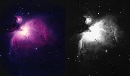 M42