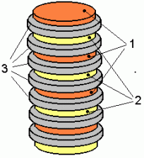 Volta sammas